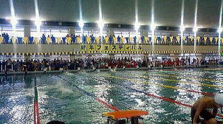 水泳 資格 日本 級 連盟